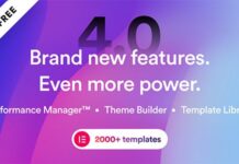 brisk-theme-nulled