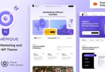 numerique-theme-nulled