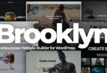brooklyn-theme-nulled